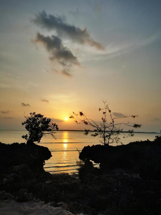 Amani Villas Nature Retreat Michamvi エクステリア 写真